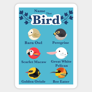 Types of Birds 2/3 Sticker